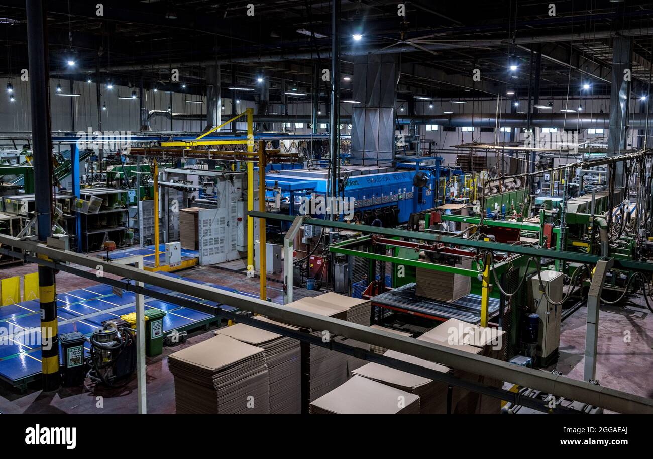 Le papier est converti en carton ondulé composé de plusieurs couches ondulées et plates. Ce produit final est utilisé pour l'emballage Banque D'Images