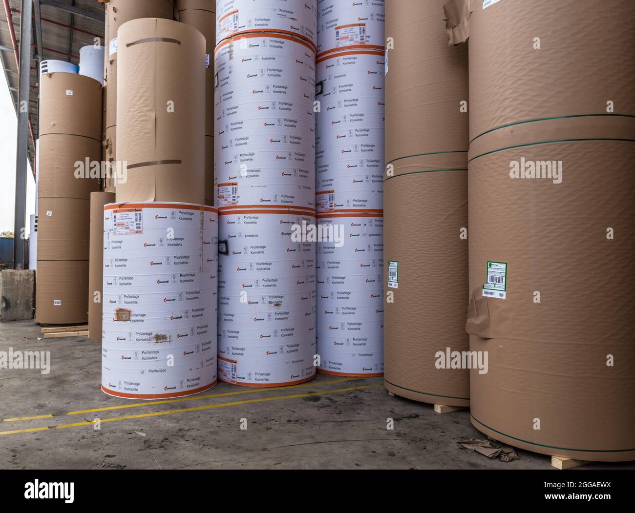 Le papier est converti en carton ondulé composé de plusieurs couches ondulées et plates. Ce produit final est utilisé pour l'emballage Banque D'Images