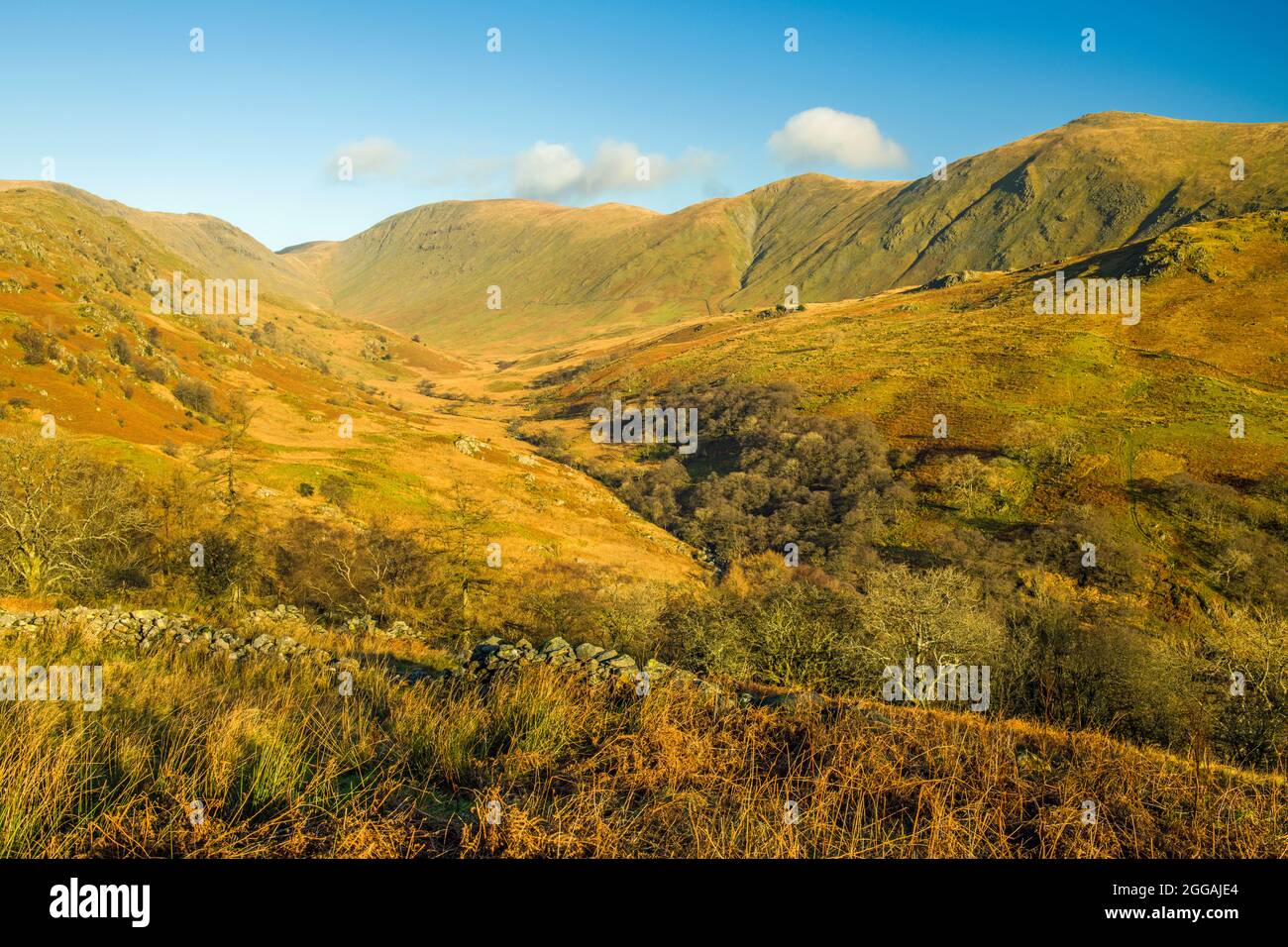 Vue sur la vallée de Troutbeck dans le Lake District dans le parc national de Lake District en janvier Banque D'Images