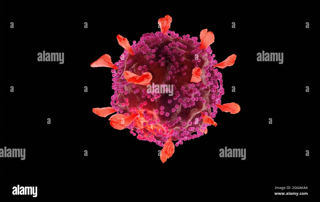 Coronavirus 2019-nCov Nouveau virus corona dans le corps humain. Le virus Corona ou d'autres cellules dangereuses qui nagent à l'intérieur d'un vaisseau sanguin. Rendu 3D de micro virus Banque D'Images