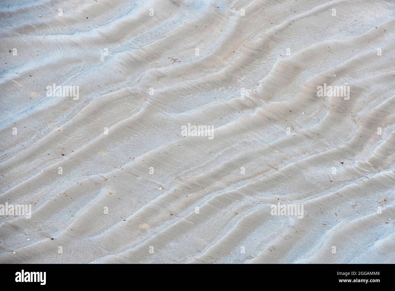 vagues dans le sable de la plage Banque D'Images