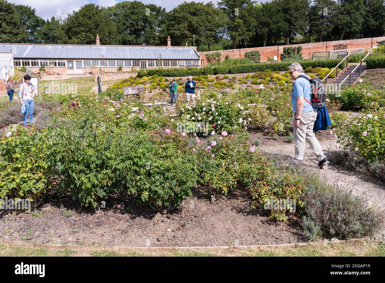 Visiteurs regardant les plantes et les fleurs dans les jardins géorgiens fortifiés historiques rénovés de Croome court, Worcestershire, Royaume-Uni Banque D'Images