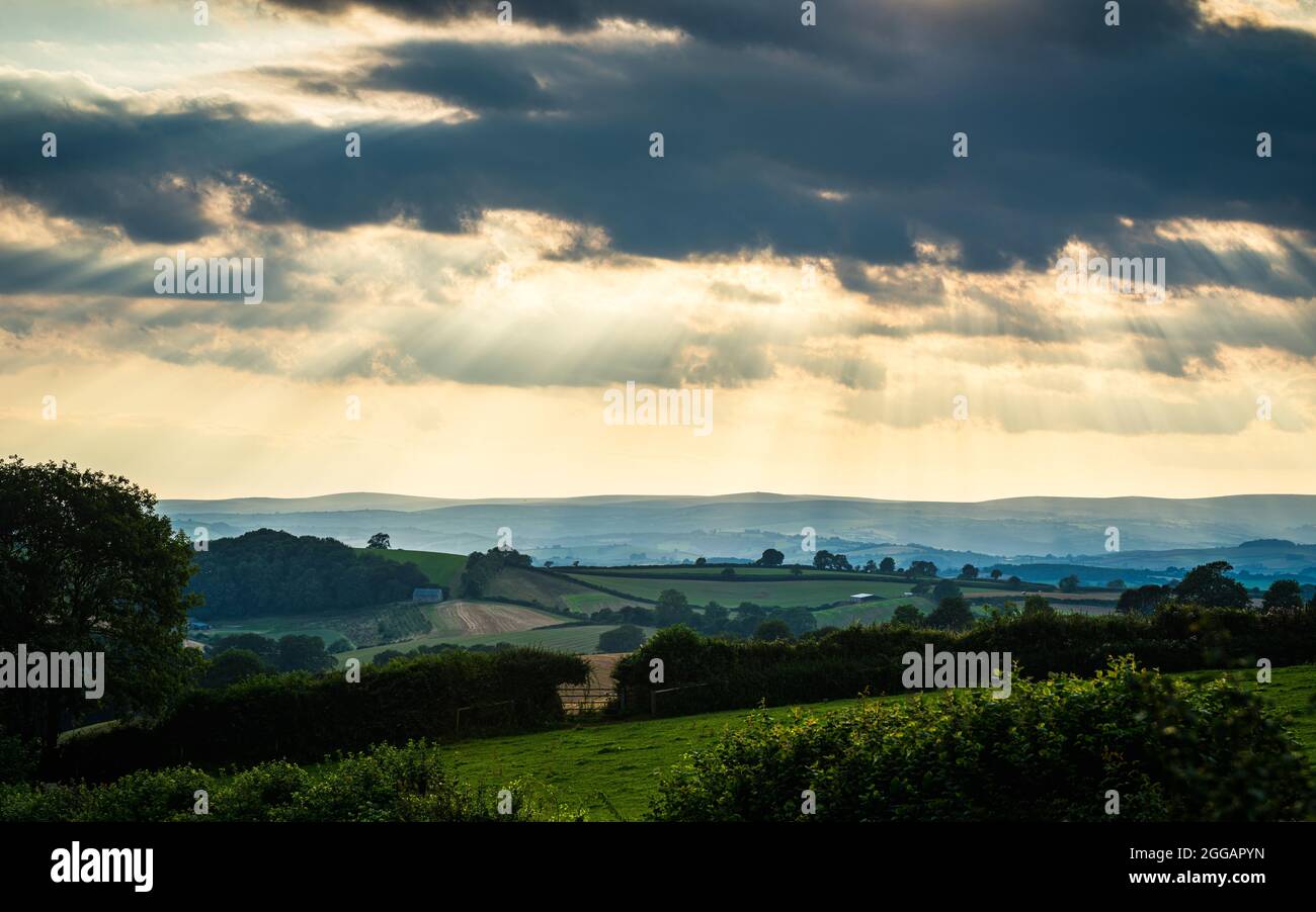 Torquay Fields dans les rayons du soleil couchant, Devon, Angleterre, Europe Banque D'Images