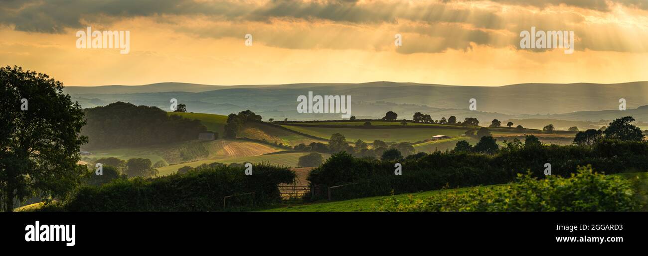Panorama des champs de Torquay dans les rayons du soleil couchant, Devon, Angleterre, Europe Banque D'Images