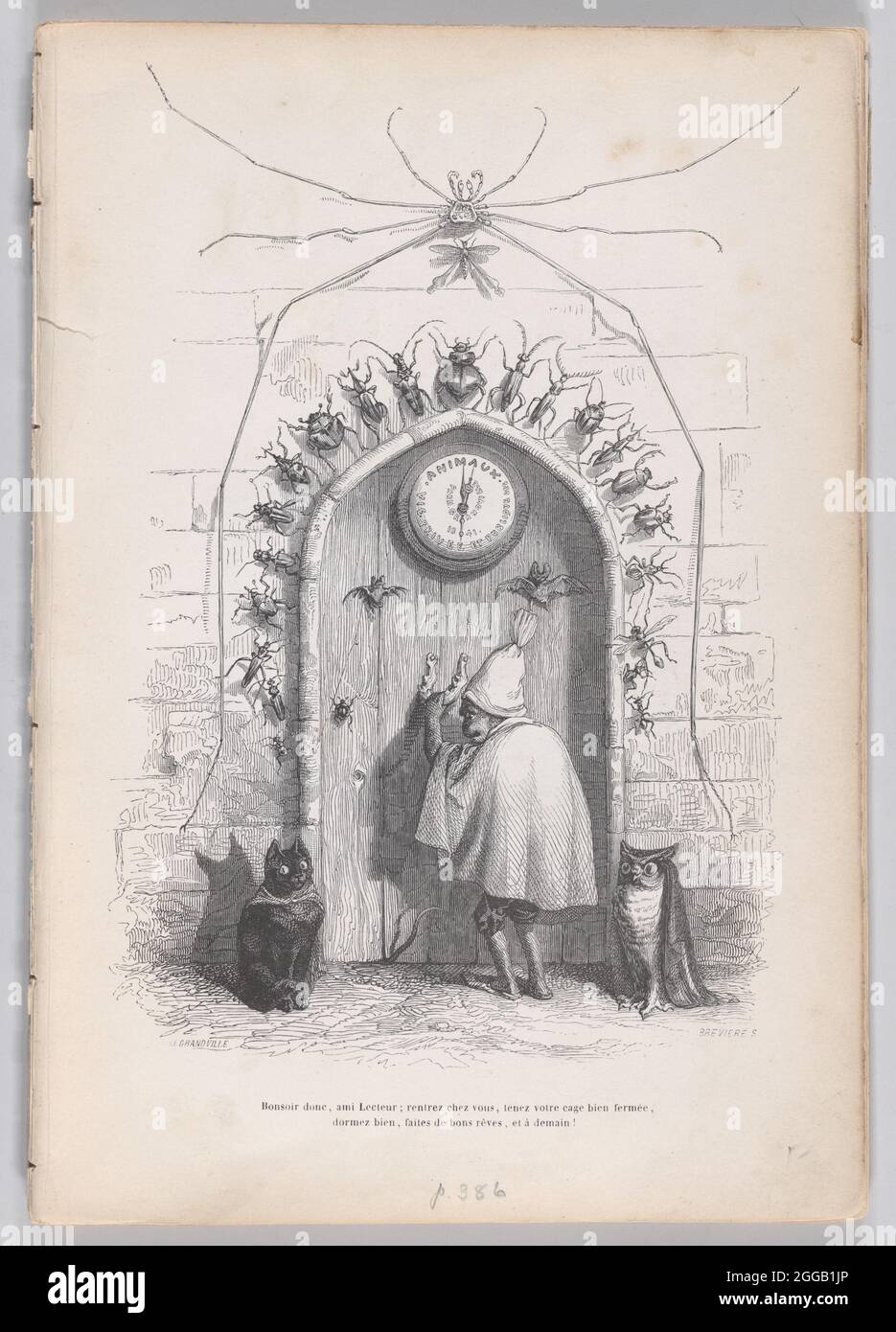 Bonne soirée alors, mon ami Lecteur... de scènes de la vie privée et publique des animaux, ca. 1837-47. Banque D'Images