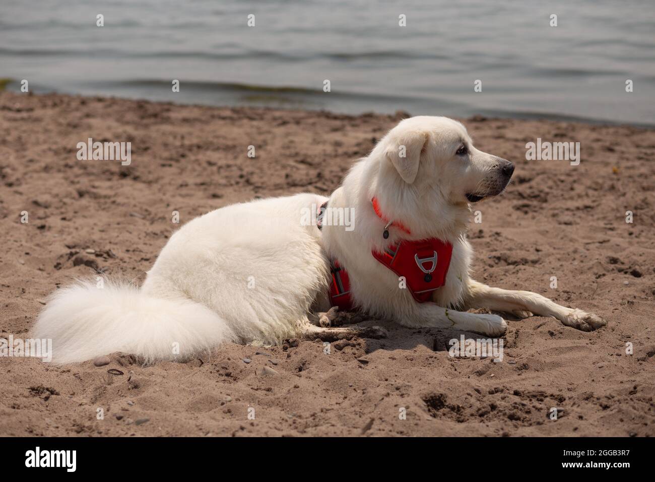 Super chaîne des Pyrénées sur la plage Banque D'Images