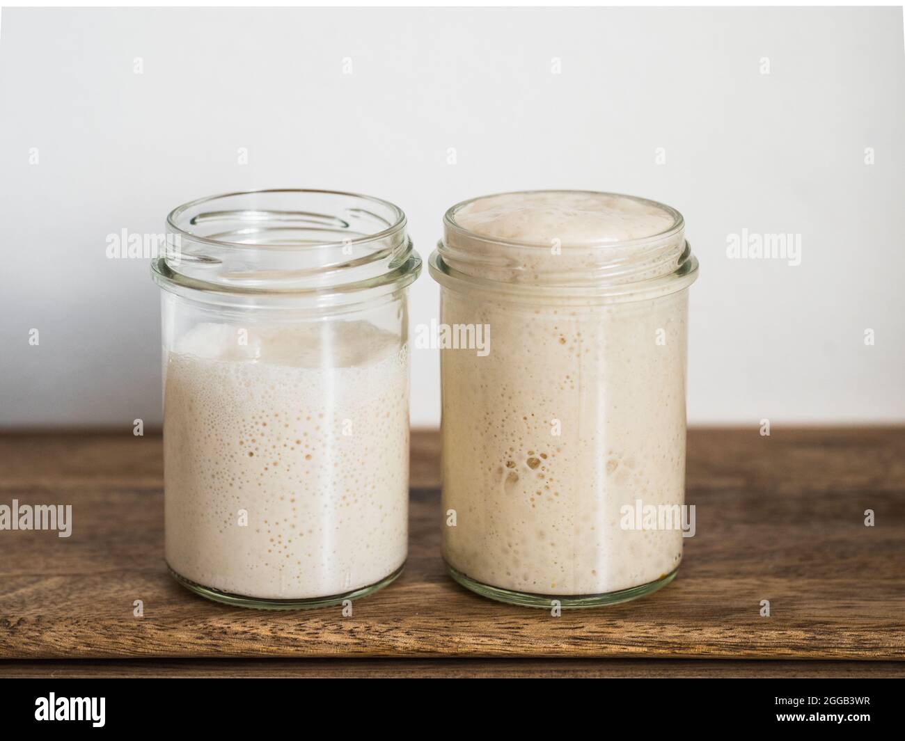 Deux pots en verre avec des démarreurs de levain de blé dans différents niveaux d'hydratation.Starter 100% hydration (droite) et Starter avec plus d'hydratation (gauche).Copier l'espace Banque D'Images