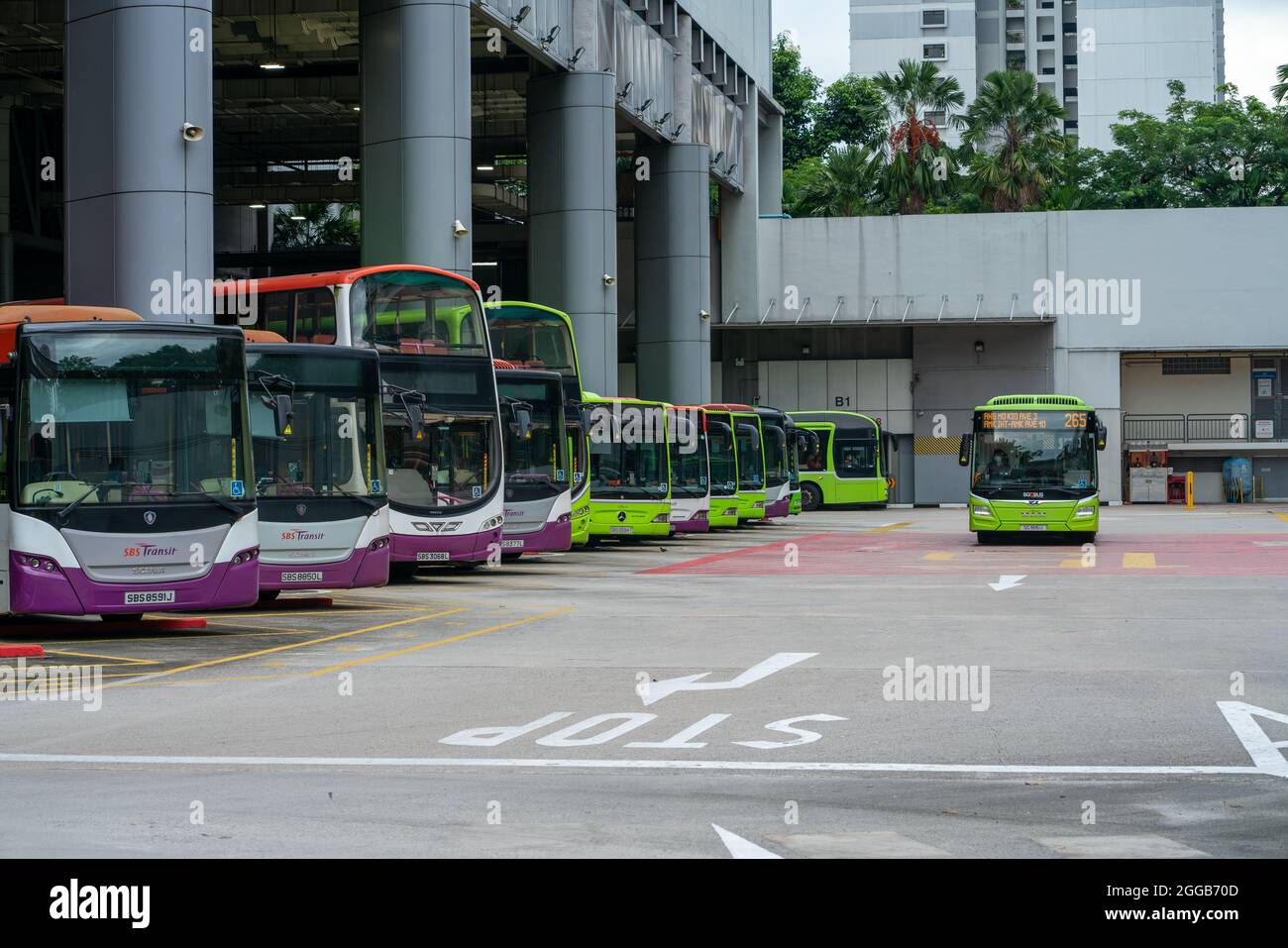 SINGAPOUR, SINGAPOUR - 24 août 2021 : départ de l'échangeur de bus Ang Mo Kio. Bus garés. Tir horizontal Banque D'Images