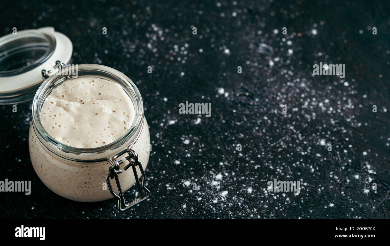 Démarreur de levain de blé. Bol en verre avec entrée de levain sur fond sombre, espace de copie. Banque D'Images