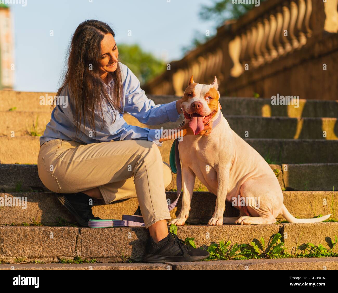 Femme assise sur un escalier en pierre à l'aube et péturant un joyeux pitbull américain Banque D'Images