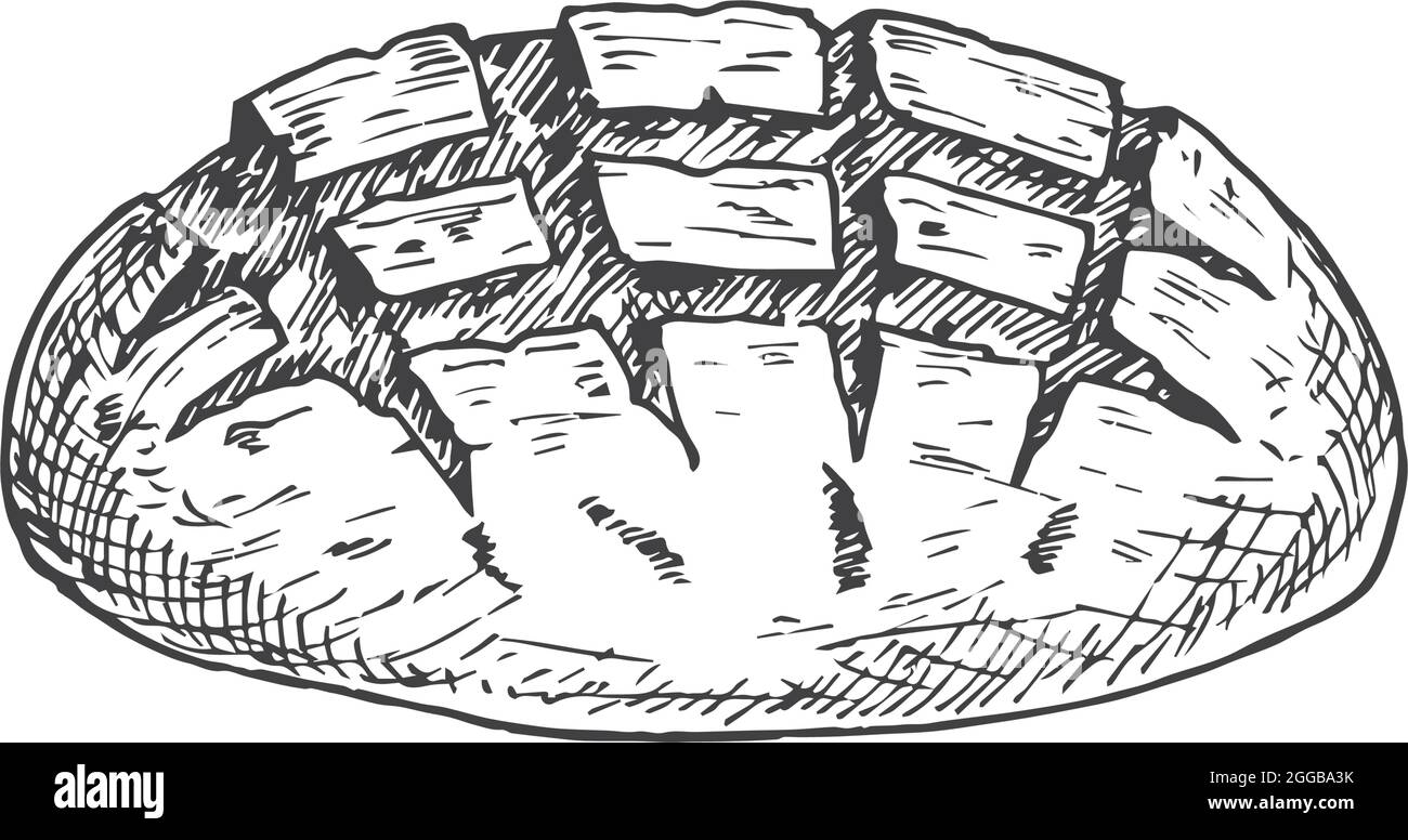 Esquisse Vector Bakery. Illustration dessinée à la main d'un pain de Sourdough. Isolé Illustration de Vecteur