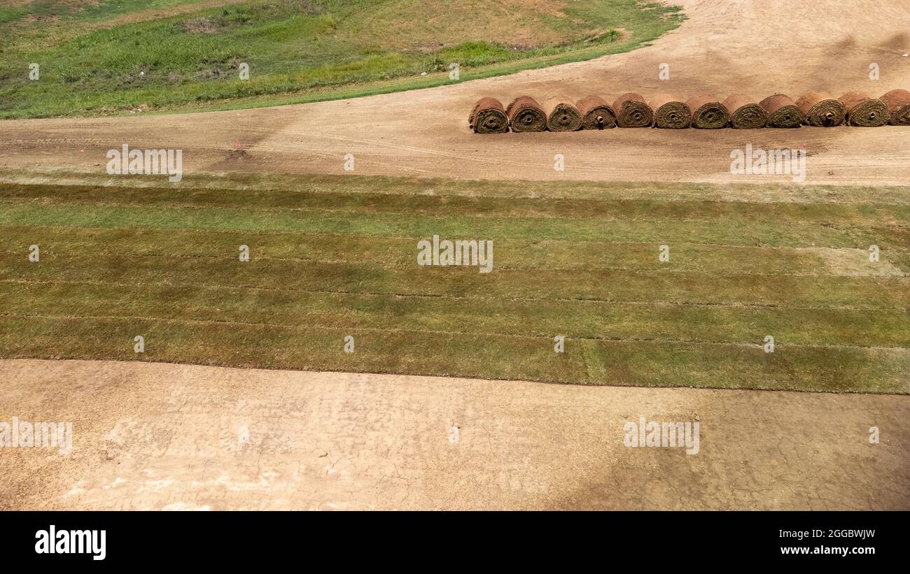 Rouleaux de gazon neuf posés dans des rangées fraîches sur le terrain de terre Banque D'Images