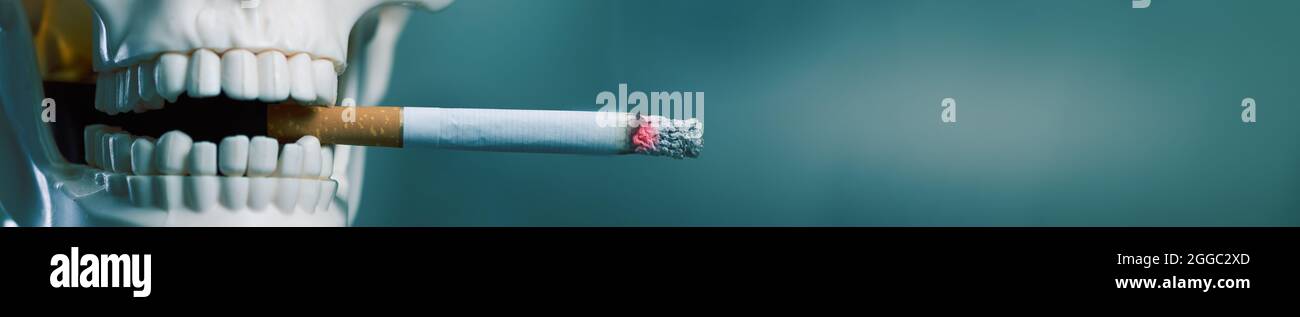Le crâne humain fume une cigarette sur fond bleu. Modèle en plastique du crâne humain avec cigarette brûlante dans les dents avec place pour le texte Banque D'Images