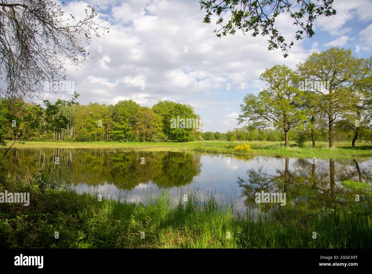 Terres agricoles inondées à Gelderland, Hollande Banque D'Images