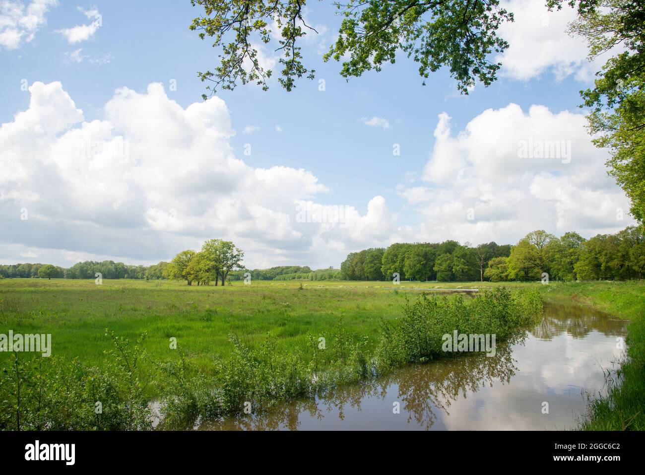 Terres agricoles inondées à Gelderland, Hollande Banque D'Images