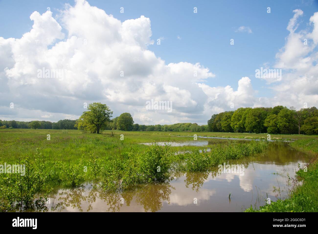 Terres agricoles inondées à Gelderland, Hollande Banque D'Images