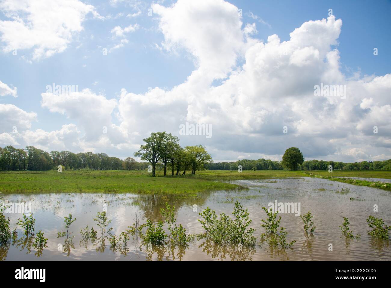 Terres agricoles inondées à Gelderland, Hollande Banque D'Images