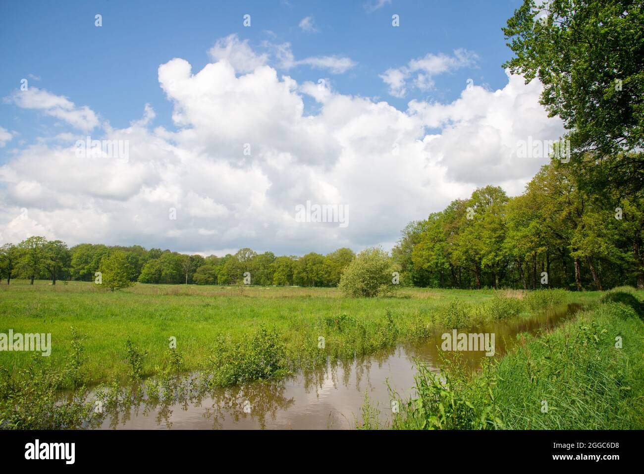 Terres agricoles inondées à Gelderland, Hollande Banque D'Images