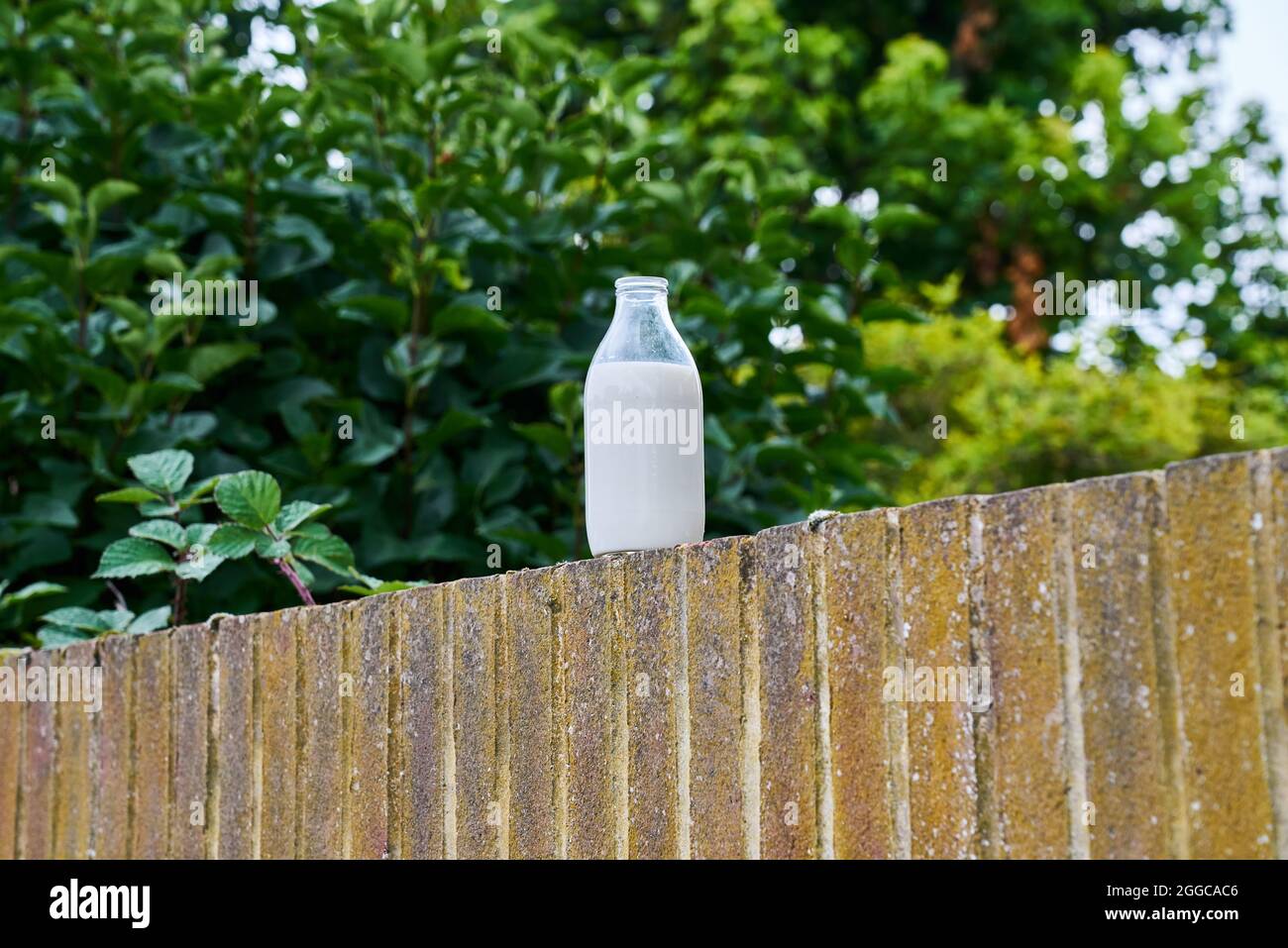 Bouteille de lait sur un mur de briques Banque D'Images