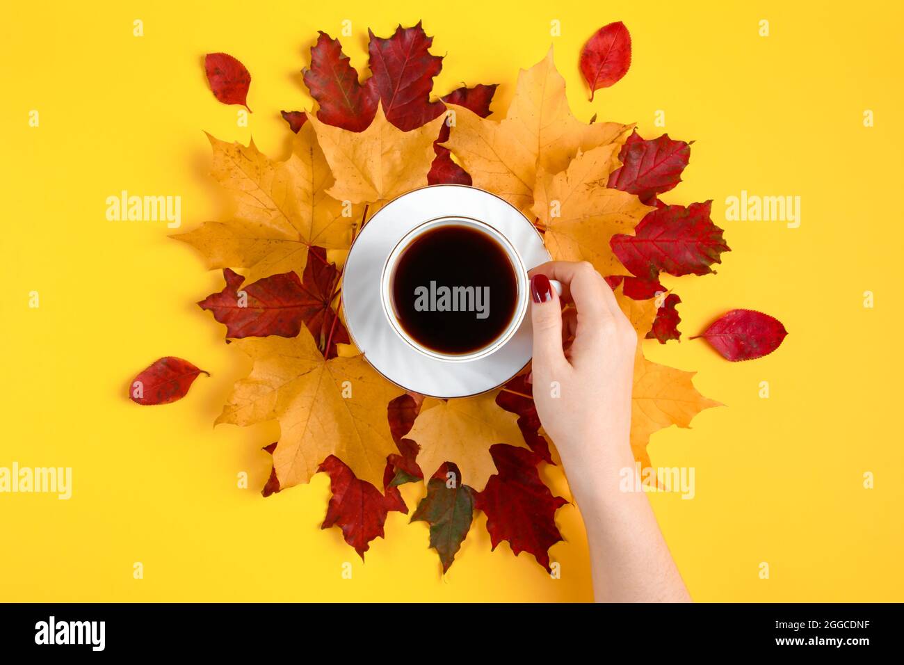 Main tenant une tasse de café fort. Boisson chaude d'automne et feuilles jaunes tombées sur un fond lumineux. Banque D'Images