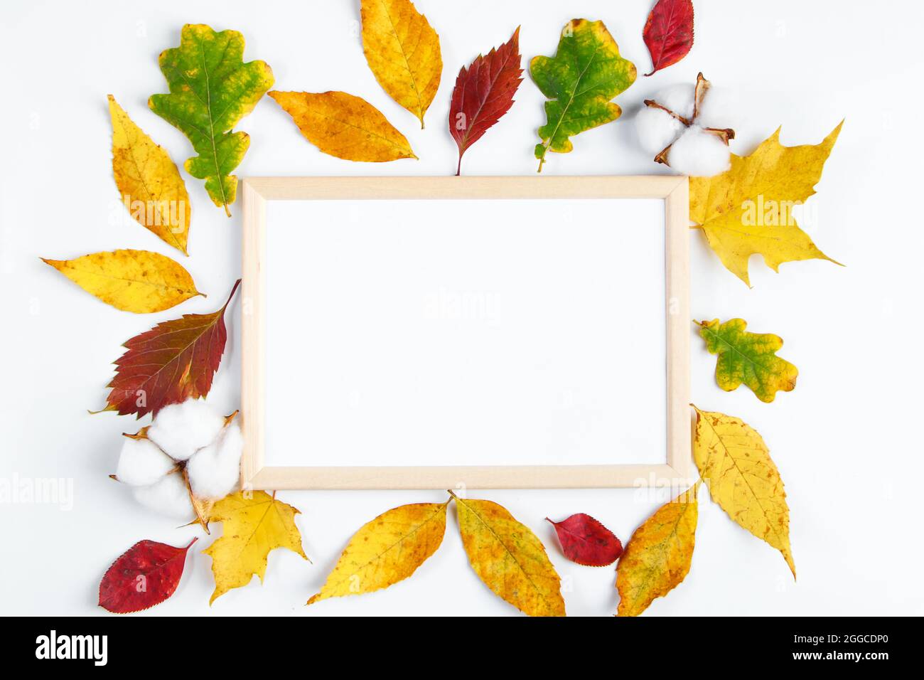 Maquette de cadre vide sur fond blanc et feuilles mortes jaunes. Concept Hello Autumn. Copier l'espace. Banque D'Images