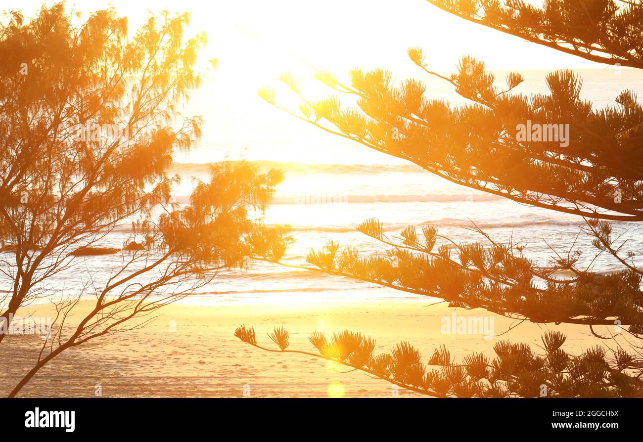 Une vue à travers les arbres silhouettés jusqu'aux vagues douces à Oxley Beach Port Macquarie, sur la côte nord du centre de la Nouvelle-Galles du Sud, en Australie. Lever de soleil tôt le matin doré Banque D'Images