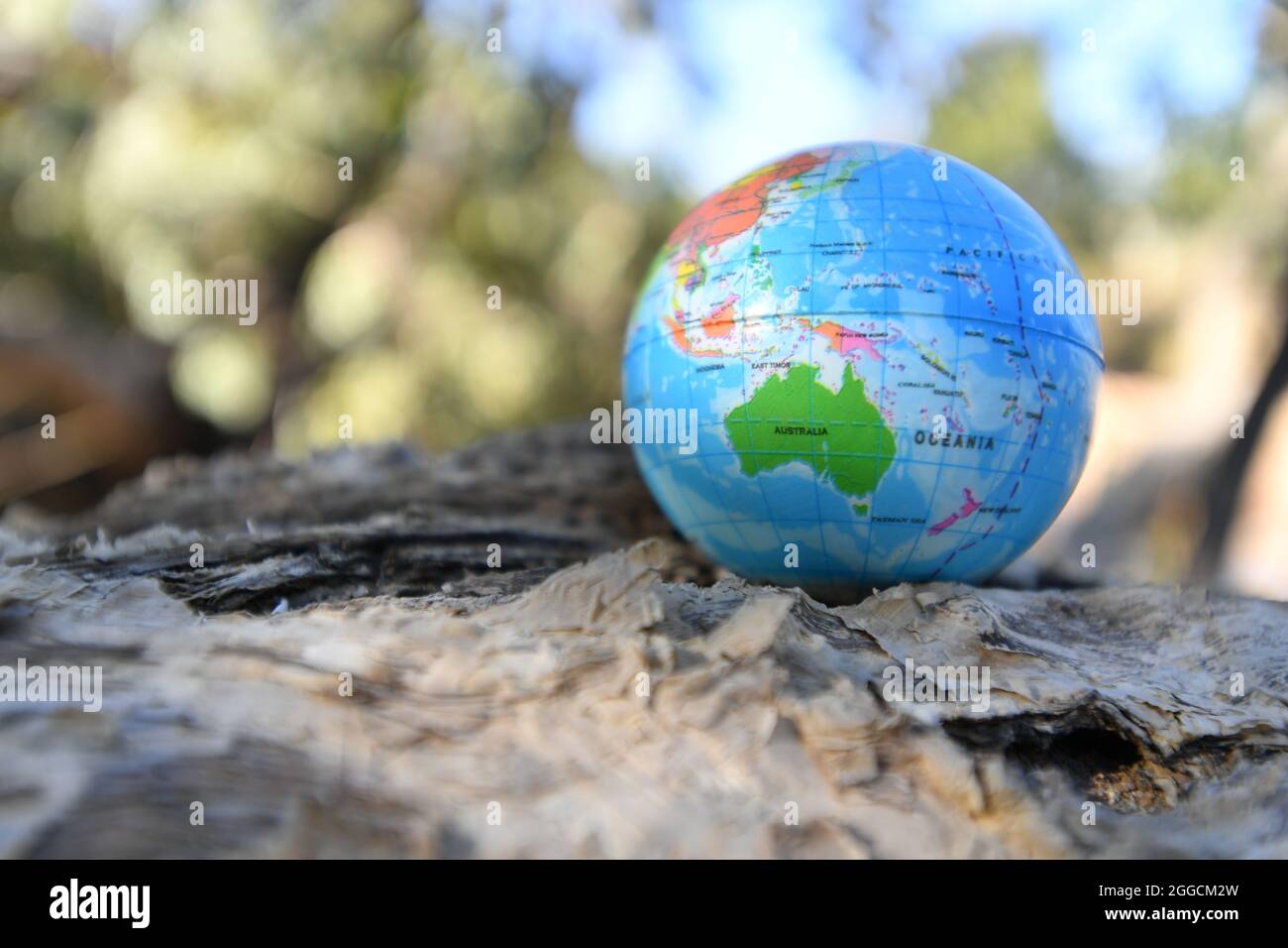 Globe terrestre dans la nature avec des arbres de creekside en arrière-plan. Banque D'Images