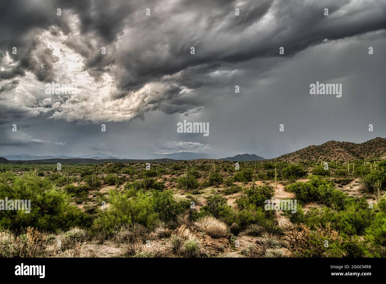 Vue sur le désert de Sonoran près de Phoenix, Arizona. Banque D'Images