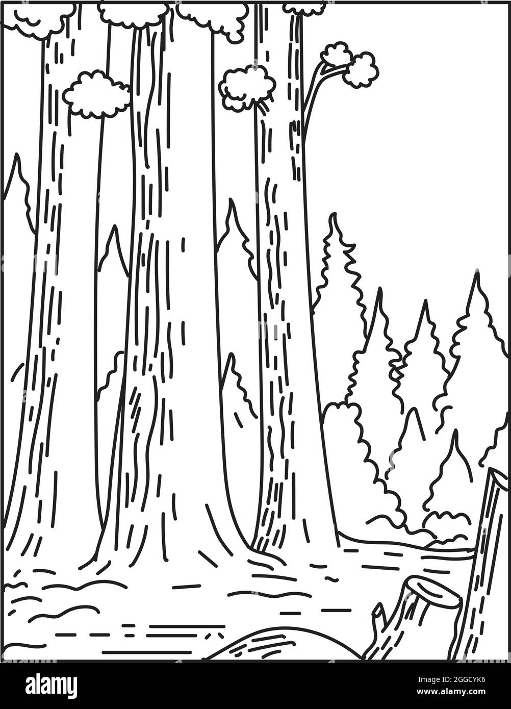 Illustration monoligne du parc national Sequoia dans le sud de la Sierra Nevada à l'est de Visalia, Californie Etats-Unis en monoline rétro noir et blanc ligne a Illustration de Vecteur