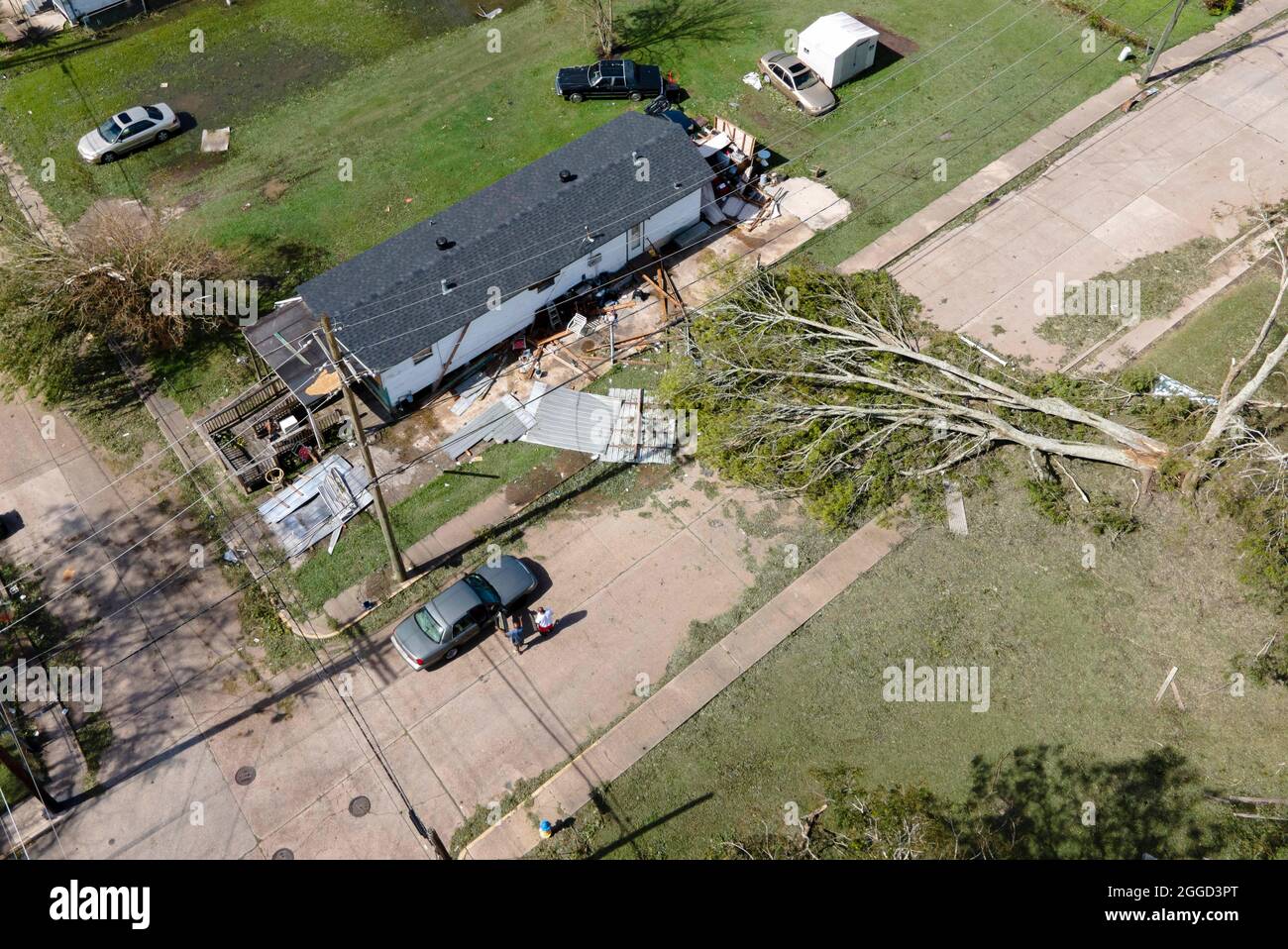 Houma, États-Unis. 30 août 2021. Un arbre est déraciné par l'ouragan Ida à Houma, en Louisiane, aux États-Unis, le 30 août 2021. Alors que des personnes bloquées attendent des secours sur des toits endommagés, que des routes inondées sont bloquées par des arbres et des lignes électriques, et que plus d'un million de personnes n'ont pas accès à l'électricité lundi matin, l'ouragan Ida a fait des ravages depuis sa chute dans l'État de Louisiane du sud des États-Unis dimanche. Credit: Nick Wagner/Xinhua/Alay Live News Banque D'Images