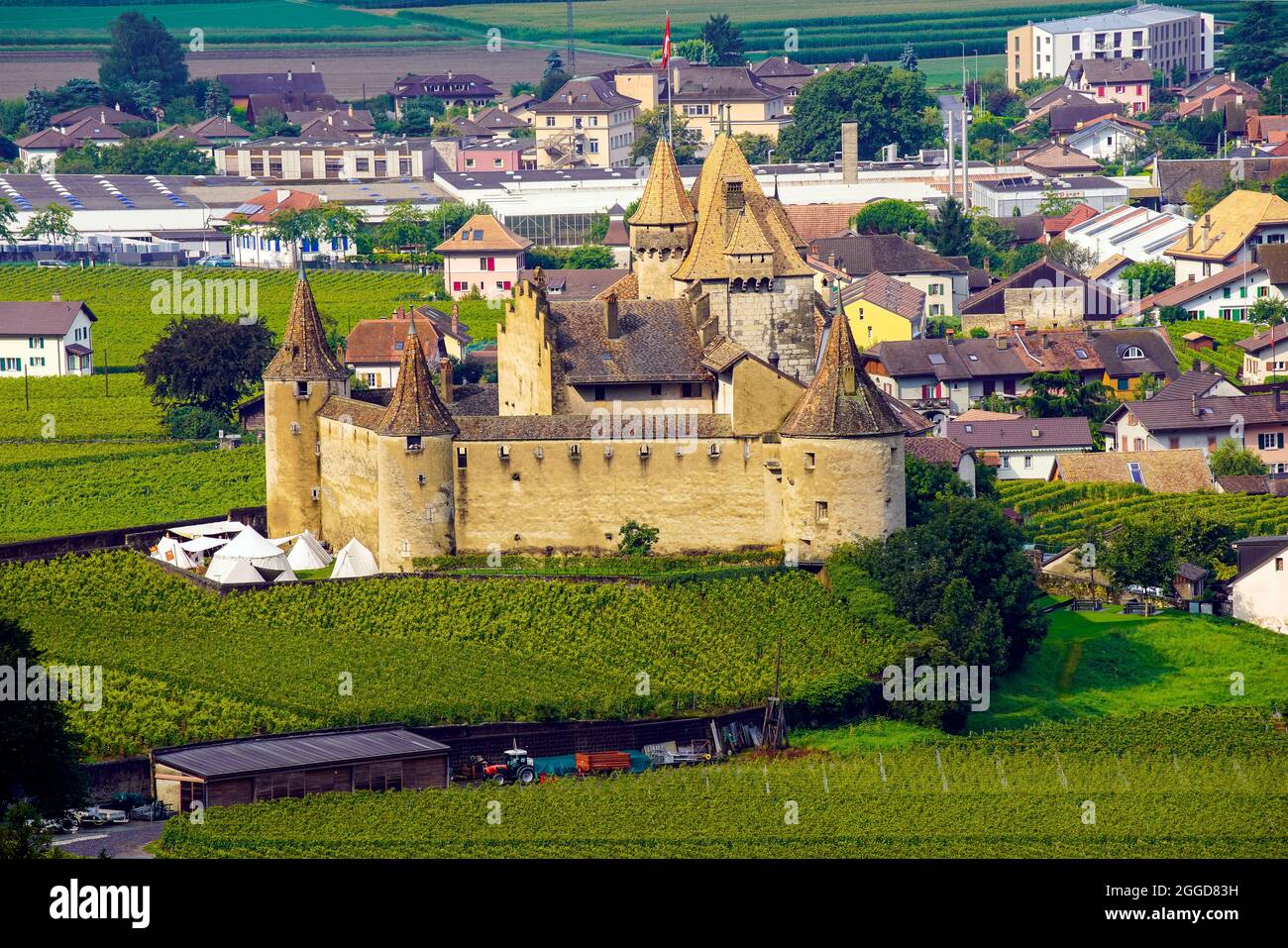 Vue imprenable sur le château d'Aigle (château d'Aigle) dans un paysage alpin. Château d'Aigle dans la municipalité d'Aigle du canton de Vaud en Suisse. Banque D'Images