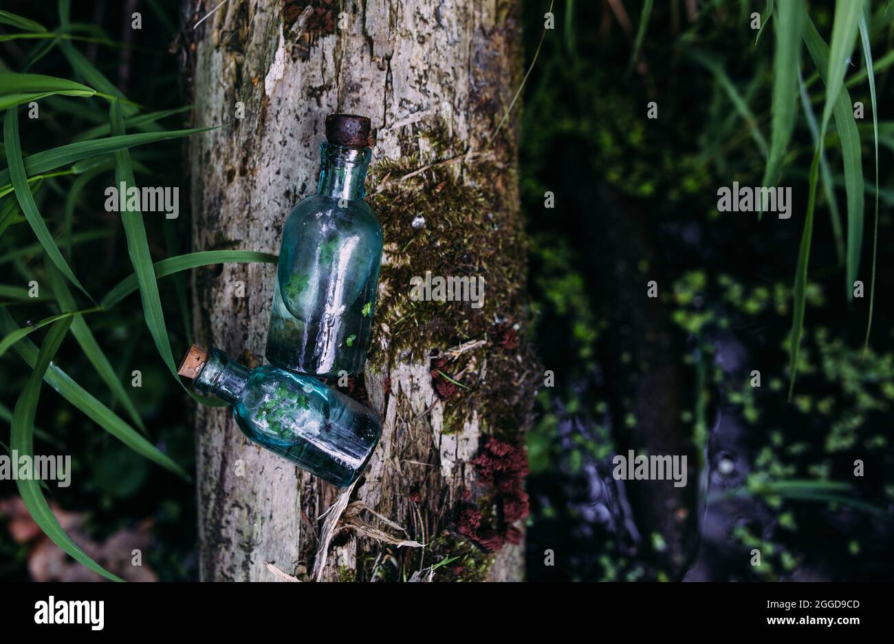 Les bouteilles en verre sont remplies d'ingrédients magiques, élixir. Lac mystérieux. Banque D'Images