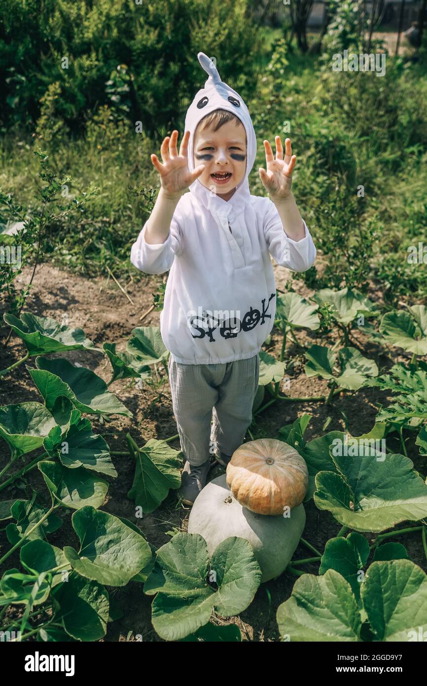 Mignon petit garçon en costume fantôme d'Halloween ayant l'amusement dans le jardin près de citrouilles. Banque D'Images