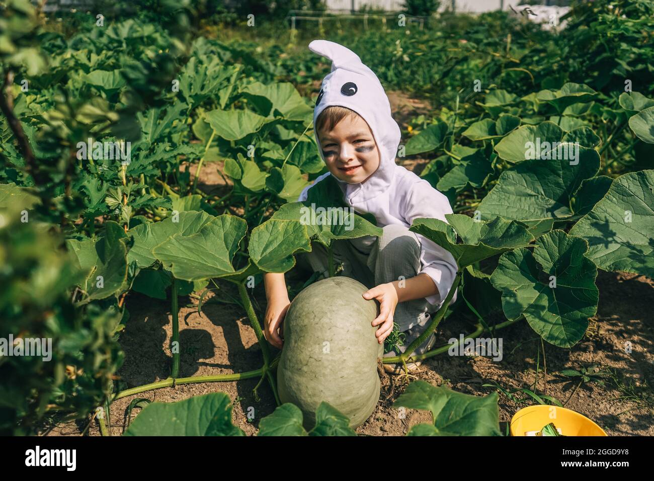 Mignon petit garçon en costume fantôme d'Halloween ayant l'amusement dans le jardin près de citrouilles. Banque D'Images