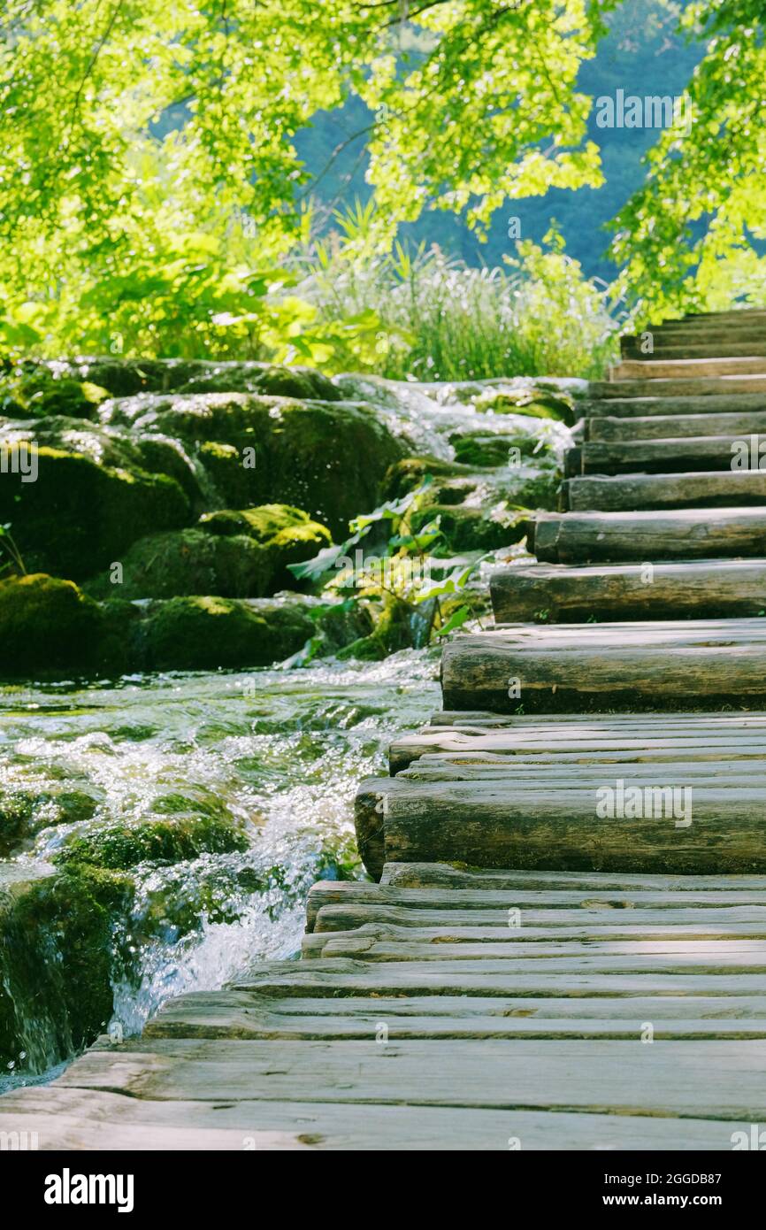 Paysages verts d'été le long de la rivière en voyage. Passerelle en bois d'époque. Le tourisme est à pied dans le parc. Banque D'Images