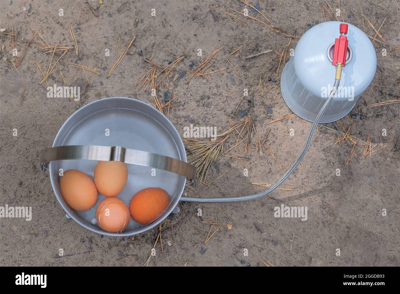 Nourriture pour voyageurs pour les activités de plein air. Oeufs en pot dans la forêt verte. Camping fabrication de nourriture. Banque D'Images