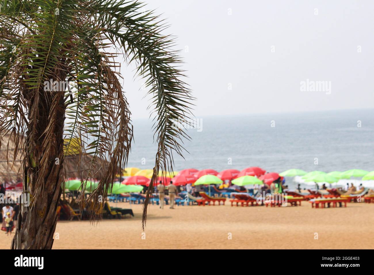 11 Nov 2015, plage de Baga, Bardez, Goa touristes se détendant sur la plage de Baga Banque D'Images