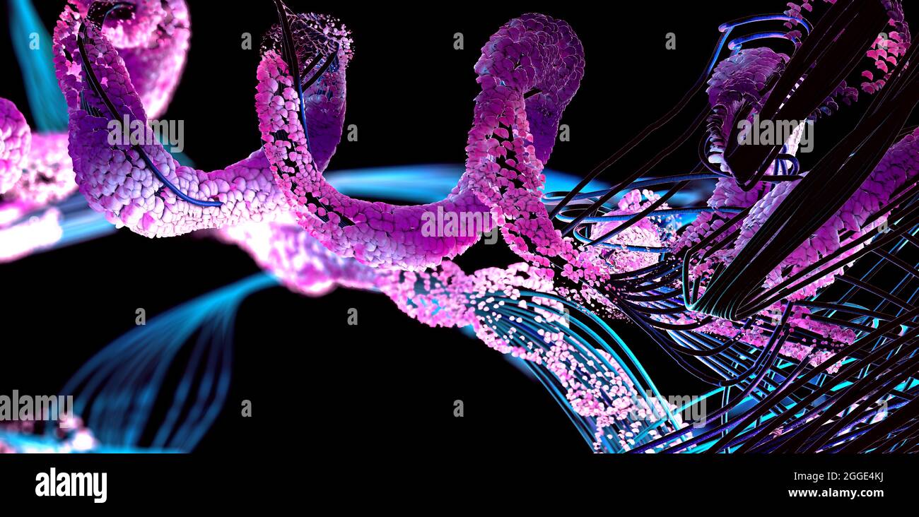 Chaîne d'acides aminés ou de molécules bio appelées protéines - illustration 3d Banque D'Images