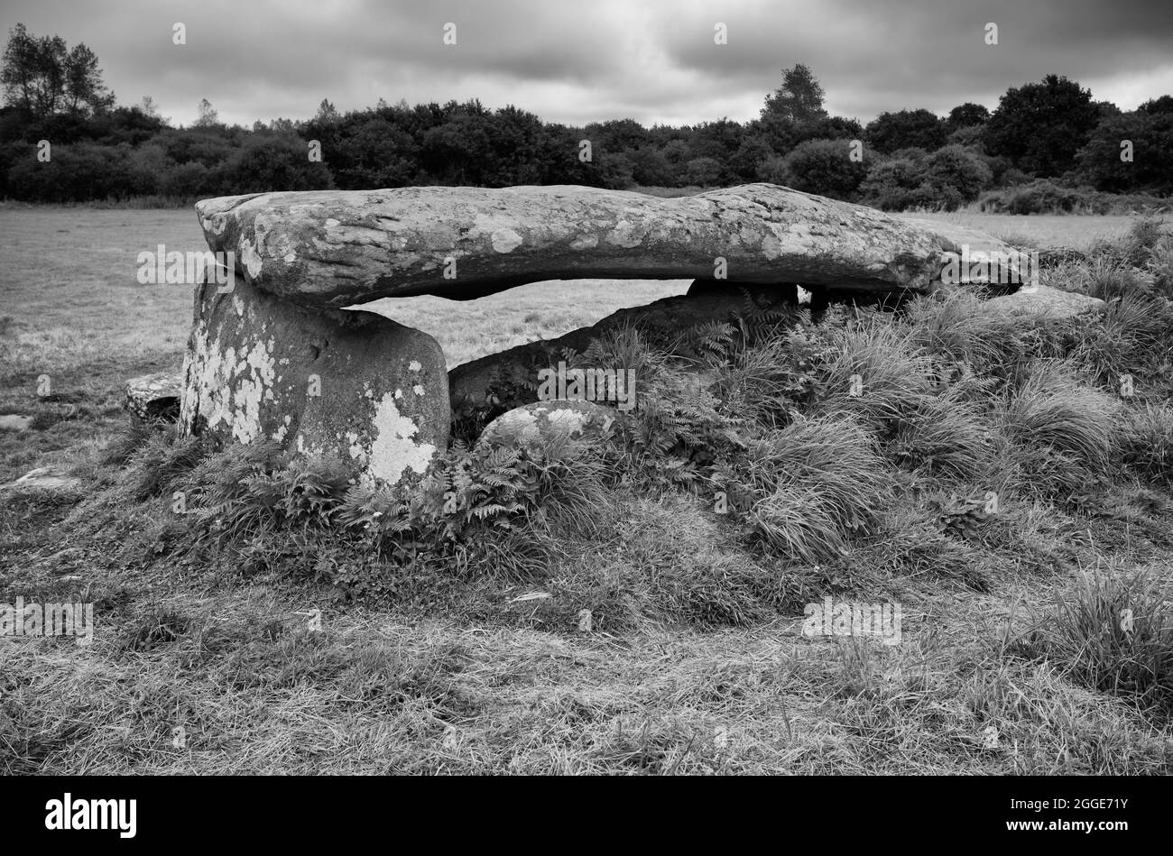 Allee couverte des dolmens de Kerguntuil (également Kerguntuilh), Tregastel, Côtes-d'Armor, Bretagne, France Banque D'Images
