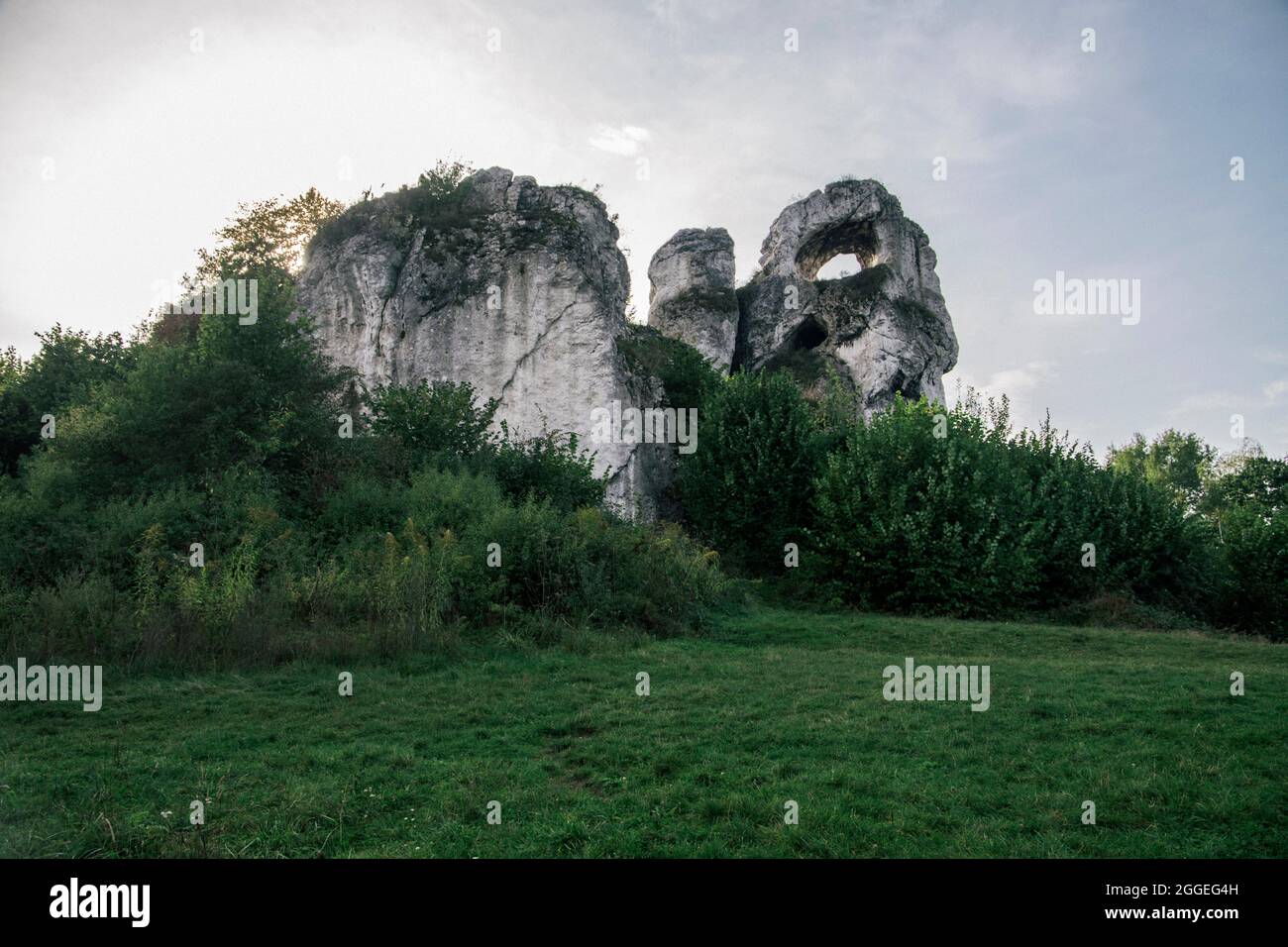 Okiennik wielki rock, Jura Krakowsko Czestochowska, Pologne Banque D'Images