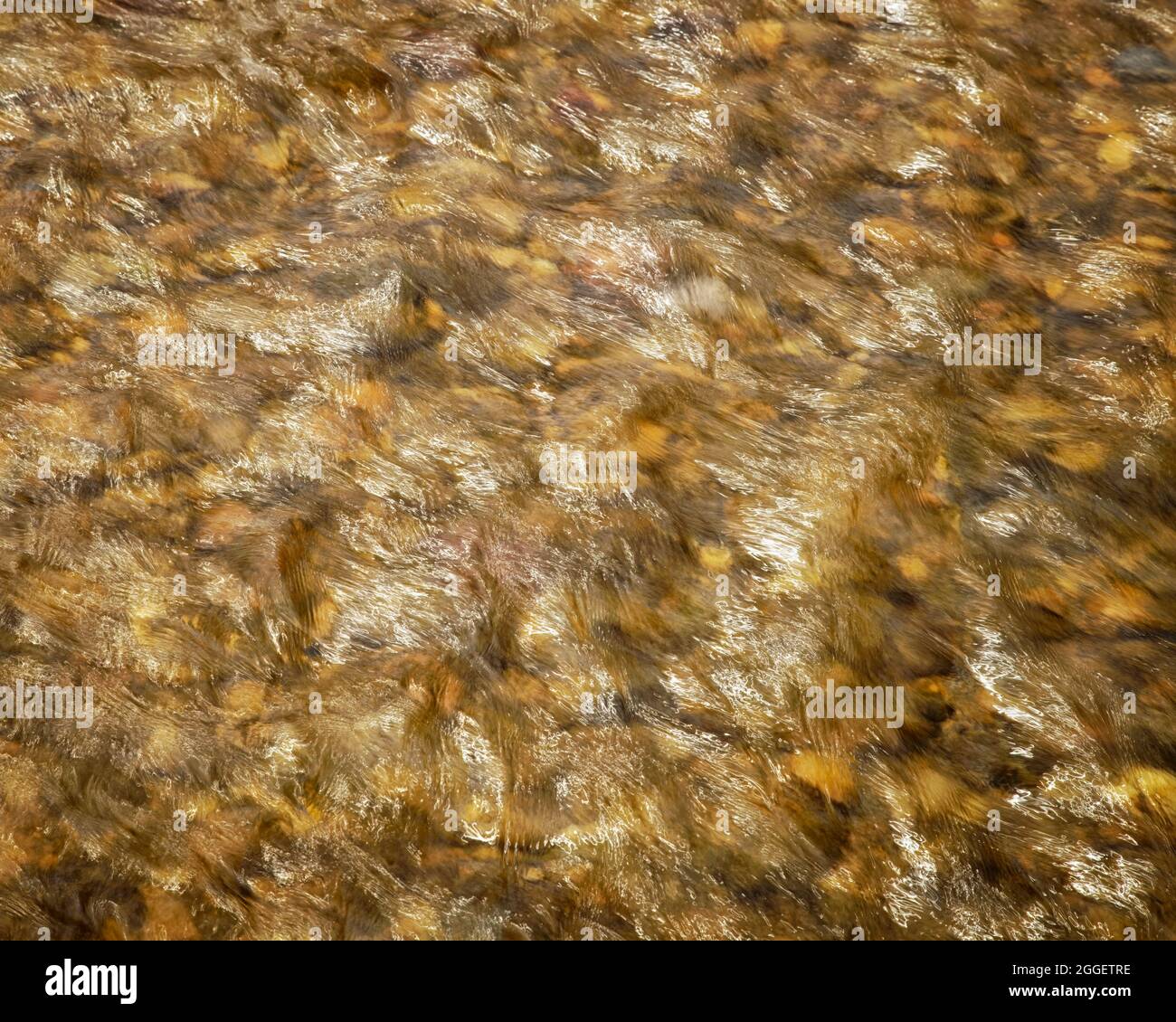 Eclairage depuis la rivière Middle Patuxent dans le comté de Howard, Maryland Banque D'Images