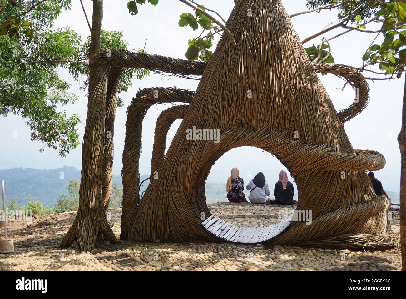 L'atmosphère de pinus pengger à Yogyakarta, Indonésie Banque D'Images