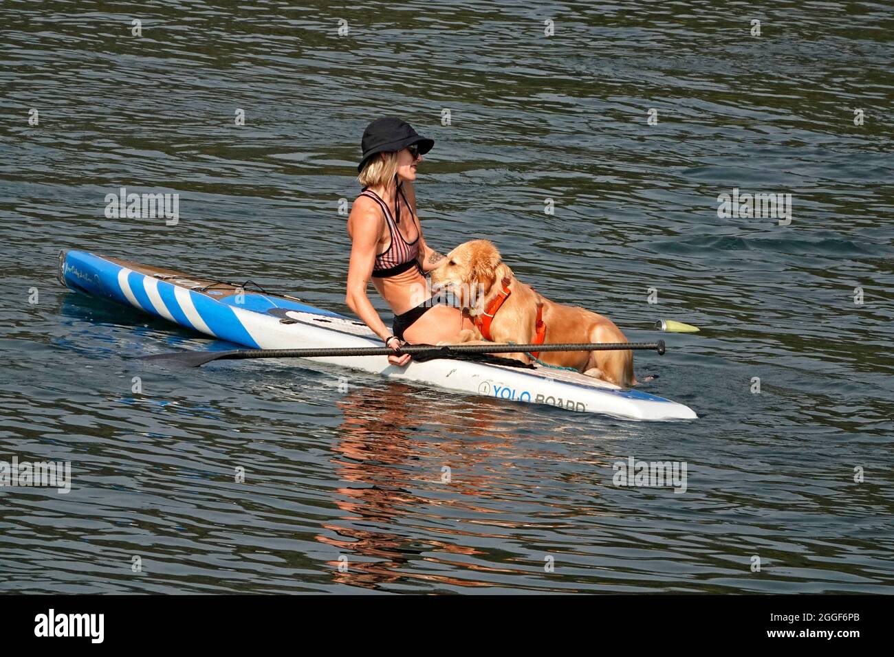 Une femme en bikini sur un stand-up paddleboard avec son chien dans la rivière Deschutes à Bend, Oregon, par une belle journée d'été. Banque D'Images