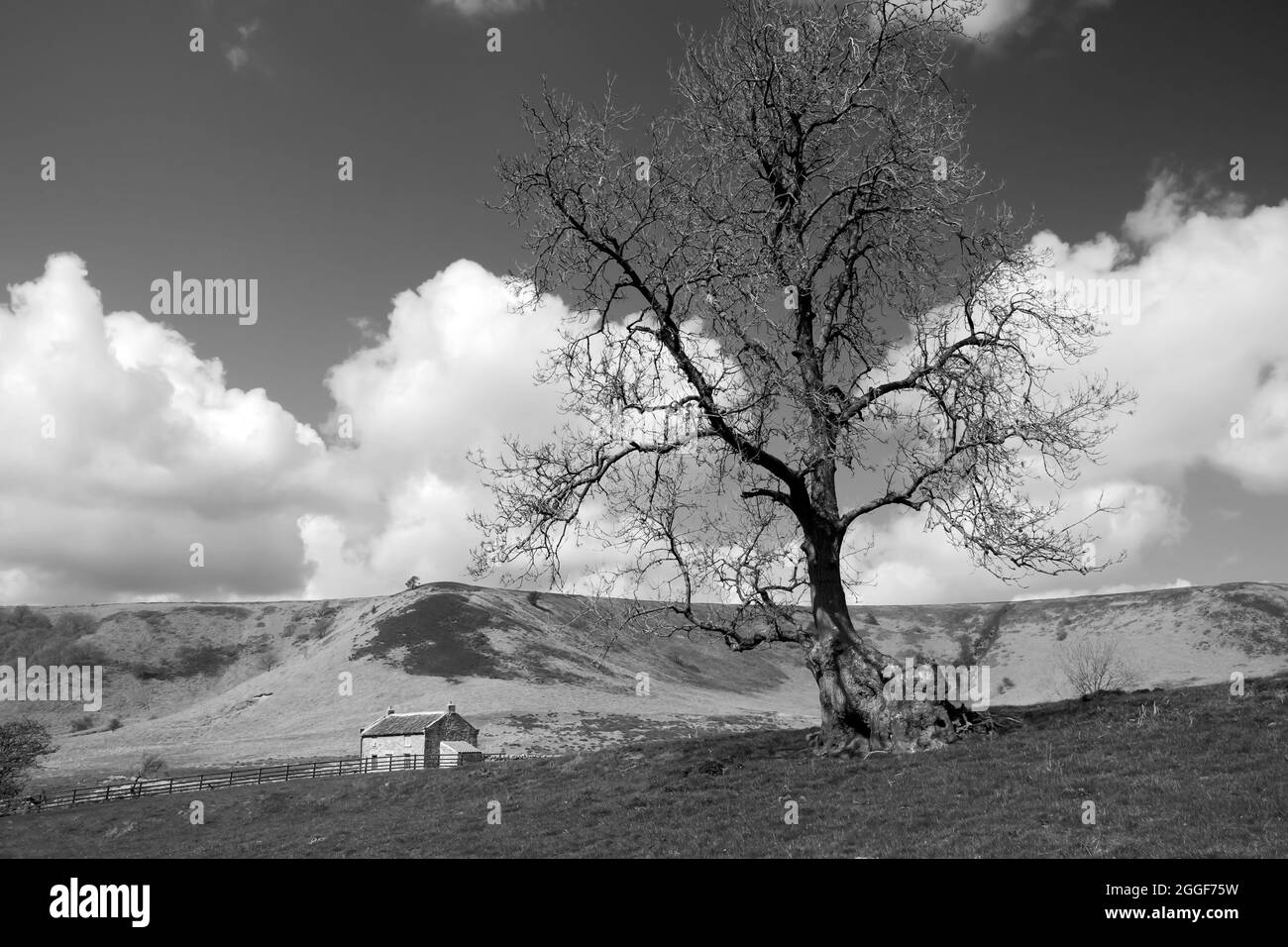 Dépression géologique naturelle avec un arbre de haut, un bâtiment abandonné et une lande sous le ciel avec des nuages à Hole of Horcum, Goathland, Royaume-Uni. Banque D'Images