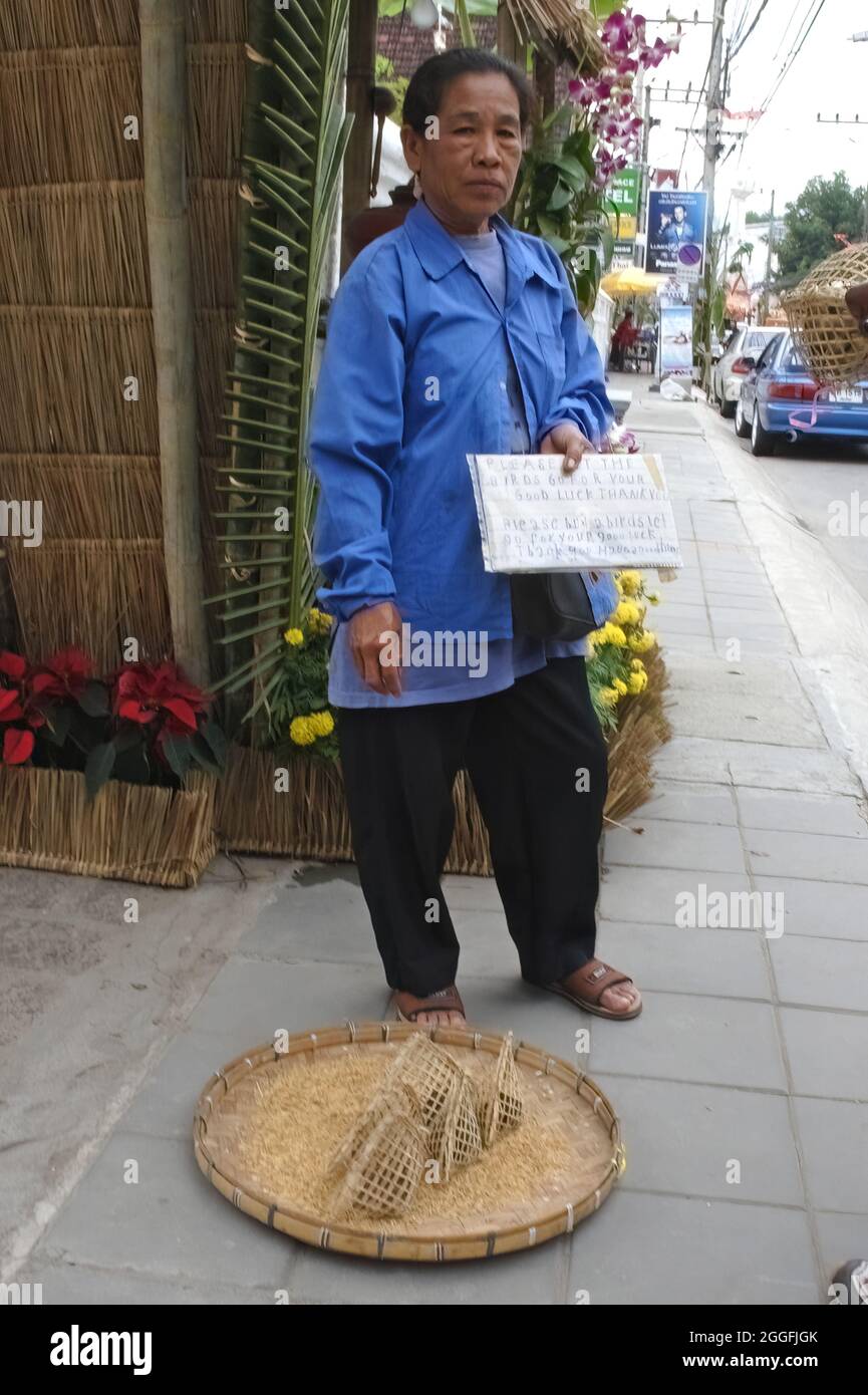 Paysan vendant des oiseaux piégés (Munia sp). Pour la libération pendant Loy Krathong (le féatival de la lumière) pour apporter la chance, tradition bouddhiste Chiang Mai, Banque D'Images