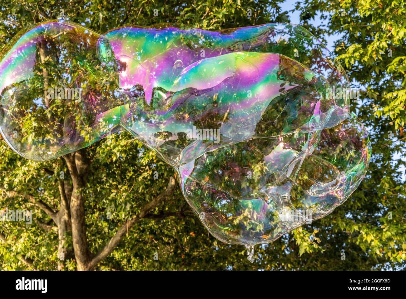 Les familles apprécient les divertissements de la rue le long de la Southbank à Londres tandis qu'un interprète souffle de grandes bulles à travers le pavé, Angleterre, Royaume-Uni. Banque D'Images