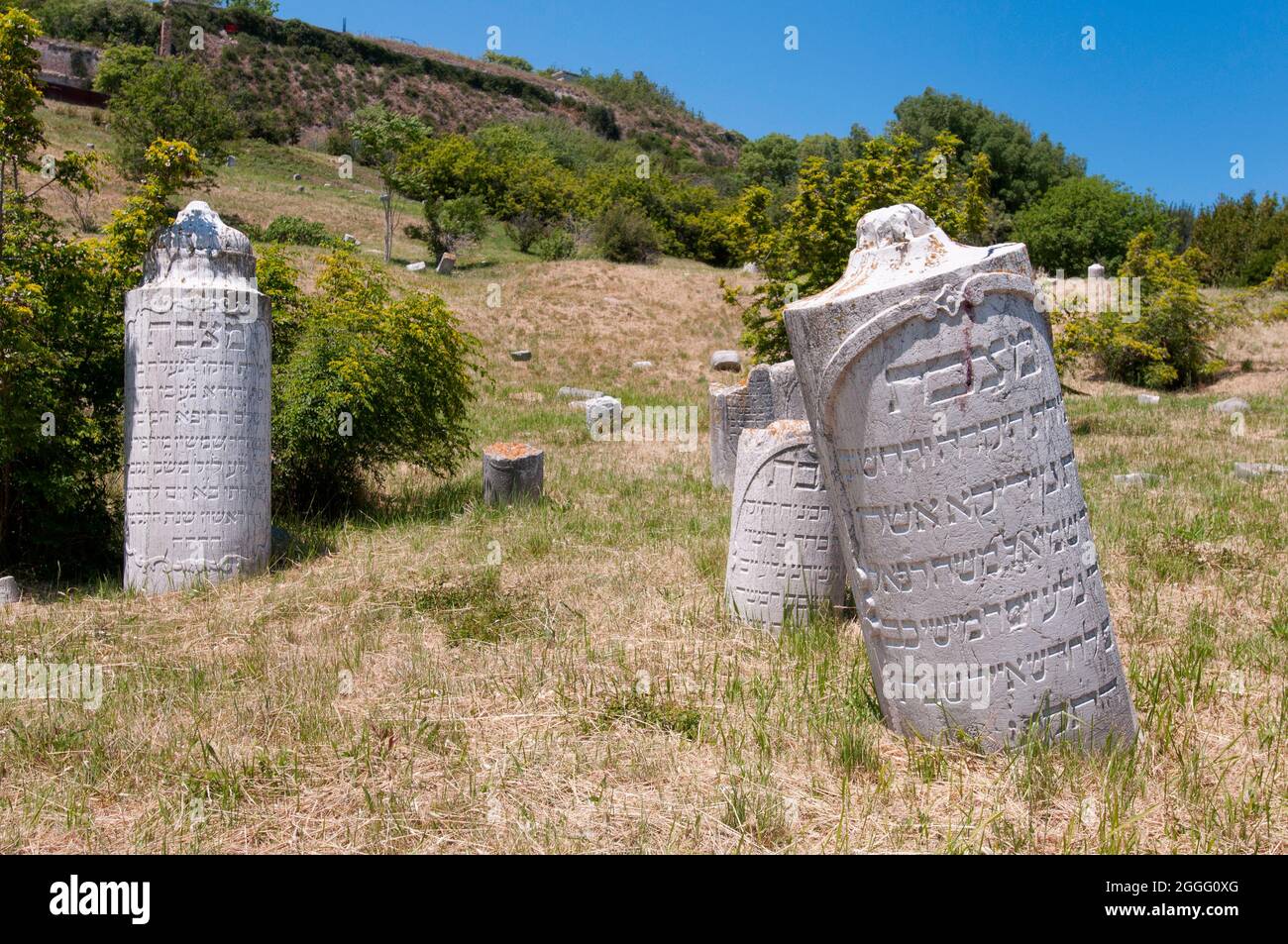 Pierre tombale à Parco Cardeto, l'ancien cimetière juif d'Ancona, en Italie Banque D'Images