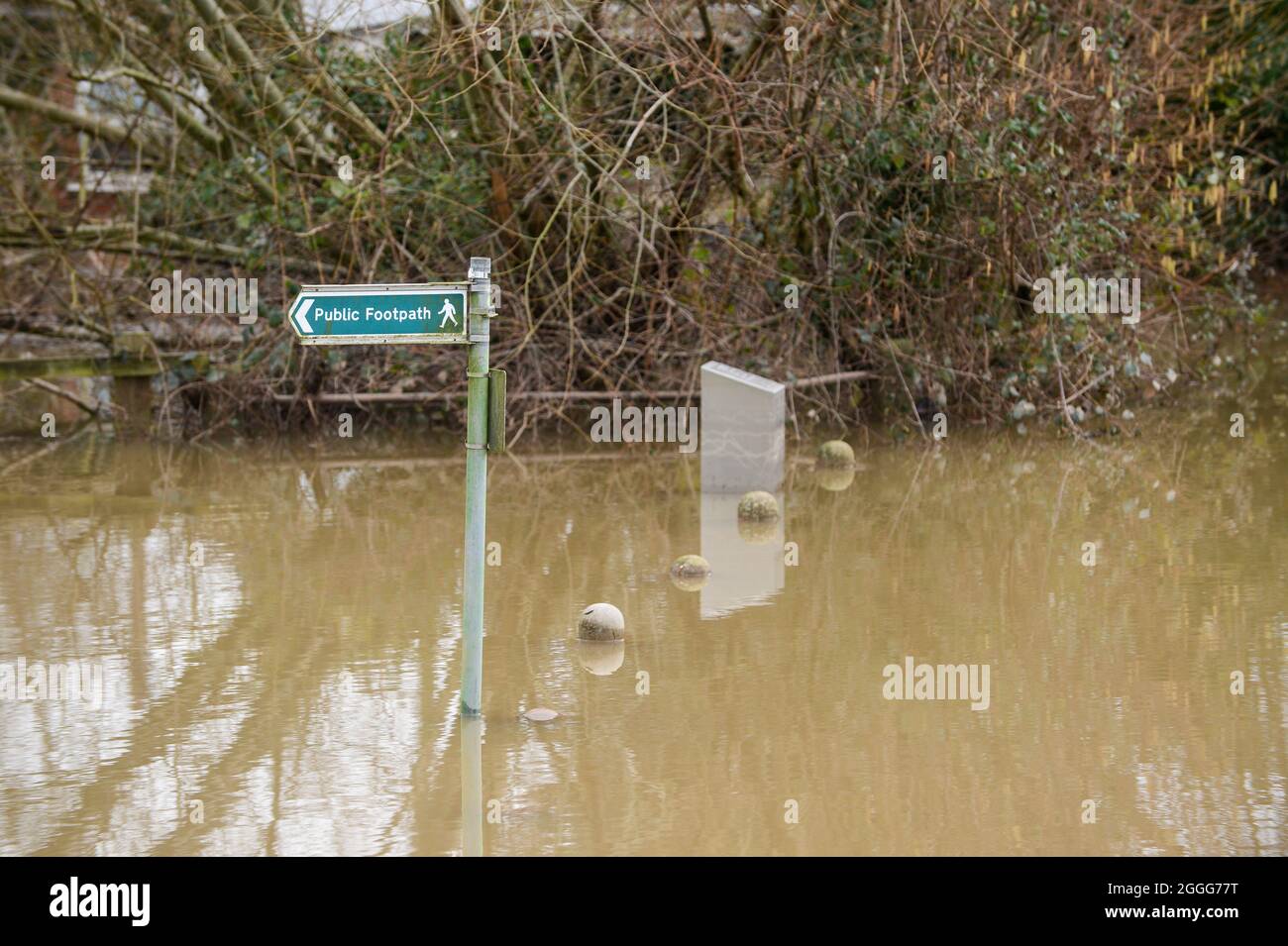 Les services d'urgence aident les habitants de Chertsey après l'augmentation des eaux d'inondation, causant des ravages aux populations et aux entreprises locales. Banque D'Images