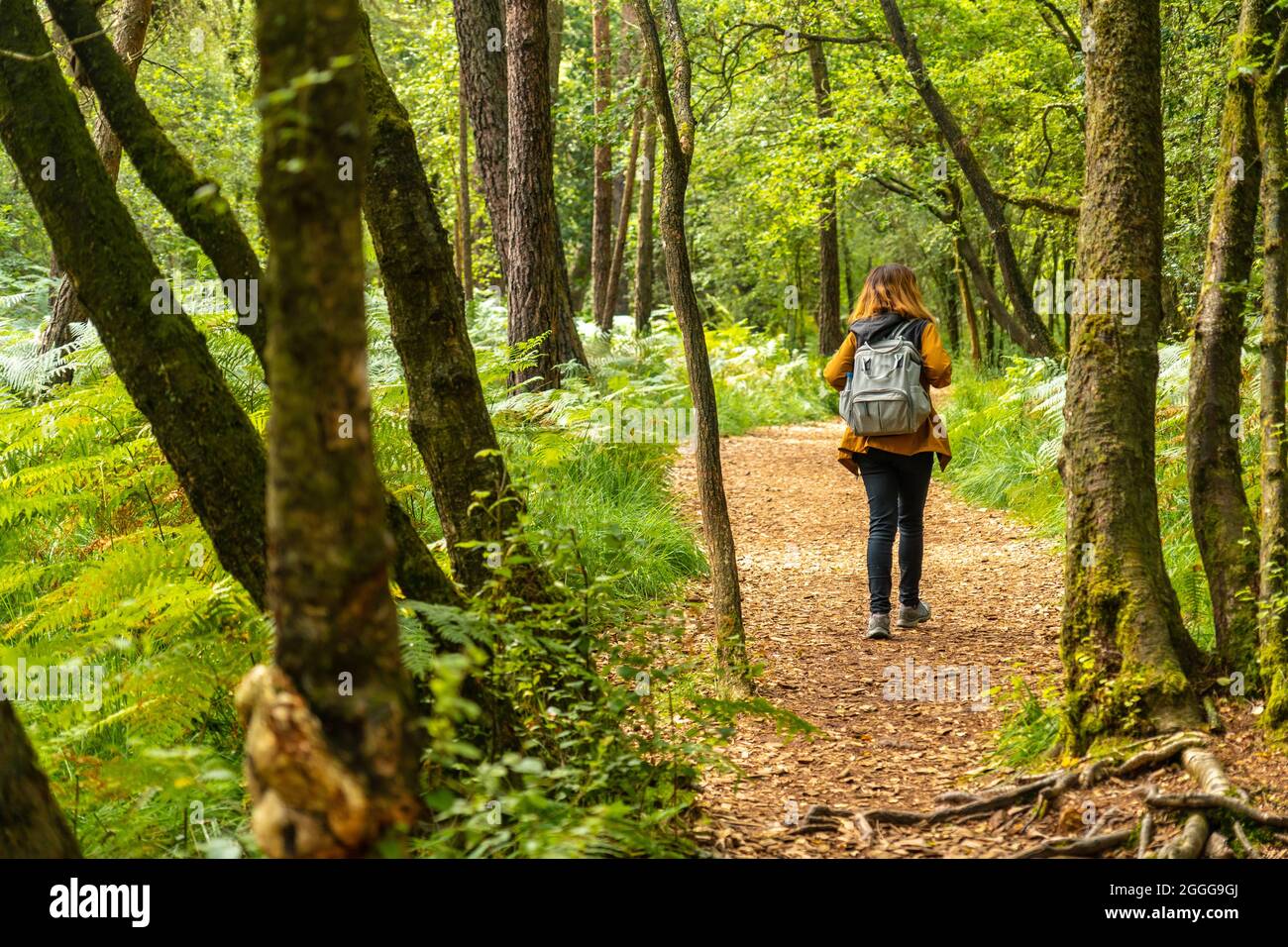 Jeunes randonneurs femelles trekking sur le lac Paimpont dans la forêt de Broceliande près de Rennes. France Banque D'Images