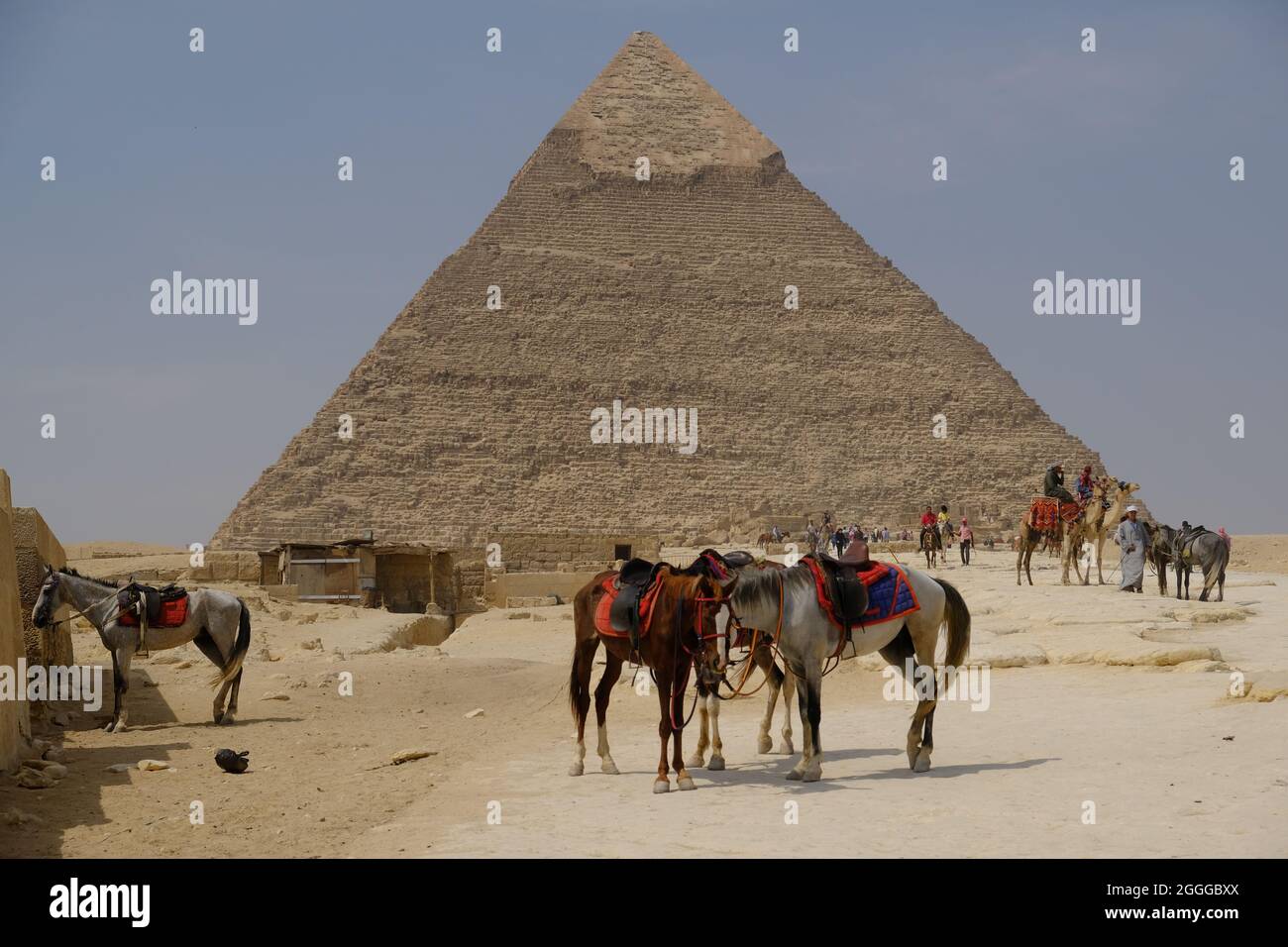 Égypte le Caire - la Pyramide de Khafre sur le plateau de Gizeh Banque D'Images